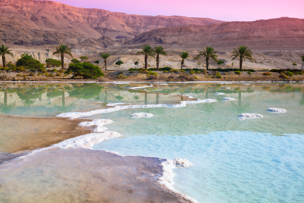 Aramex Travel (27)