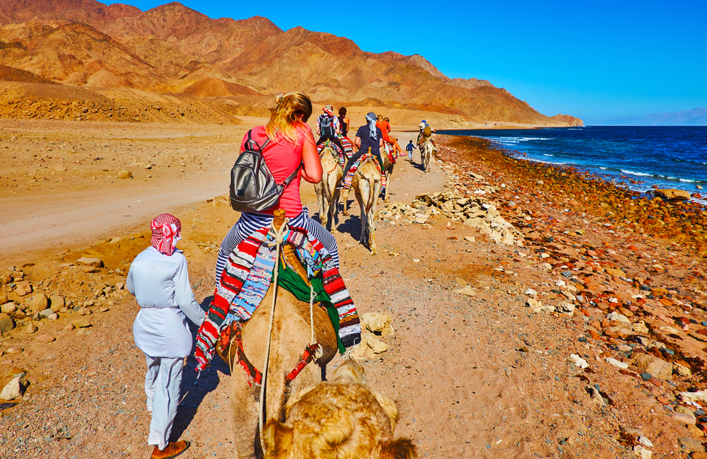 Aramex Travel (37)