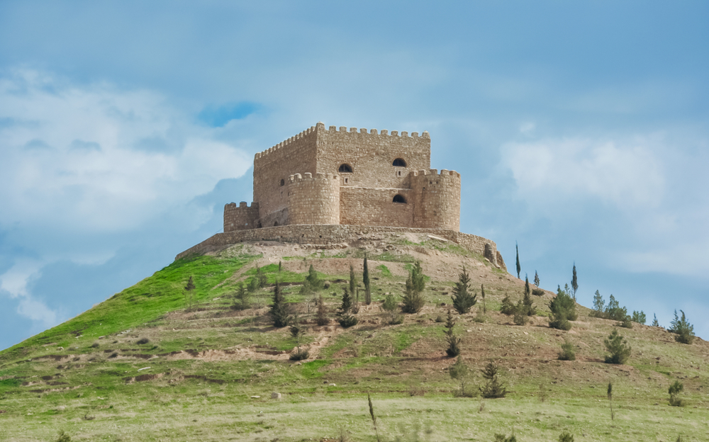 shutterstock_1231879282