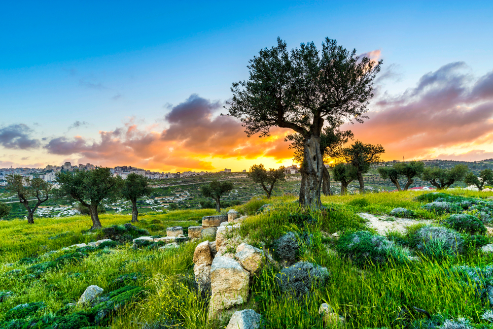 shutterstock_1372040918