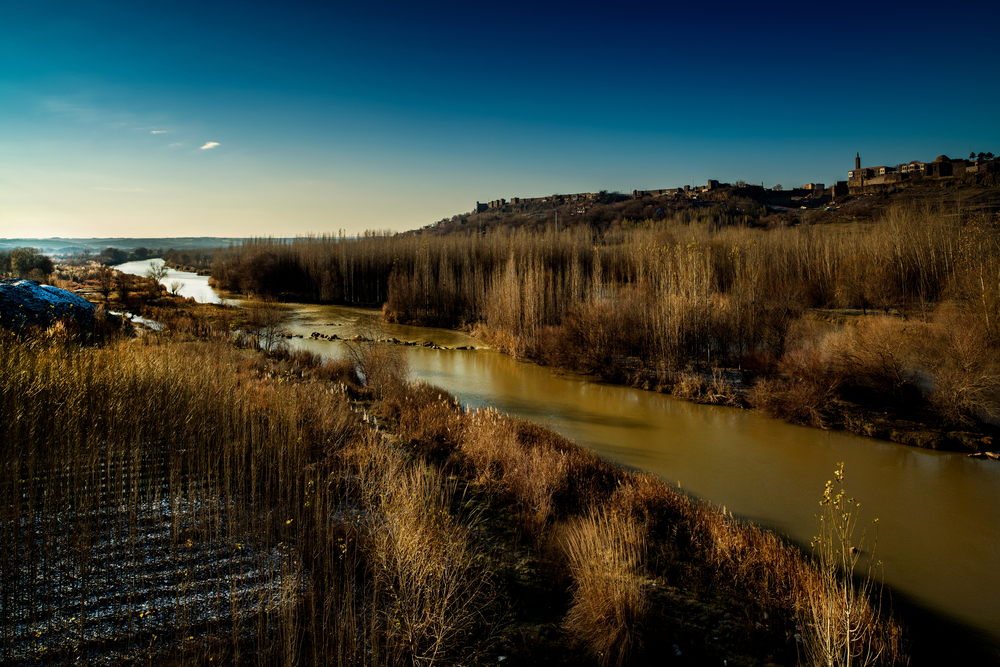 shutterstock_673804726