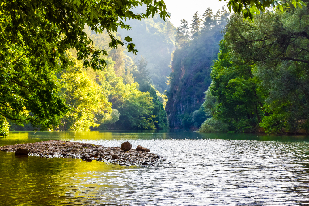 shutterstock_750774643